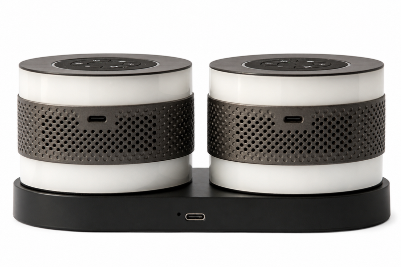 Duo Speaker - Sound System