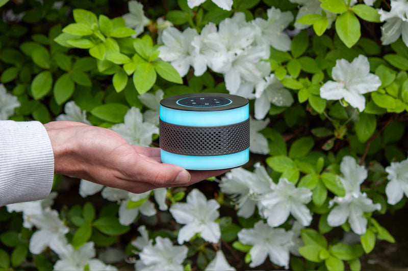 Duo Speaker - Sound System